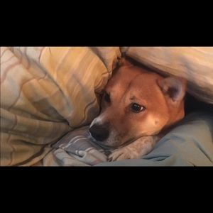 Meet your Posher, Jeremy